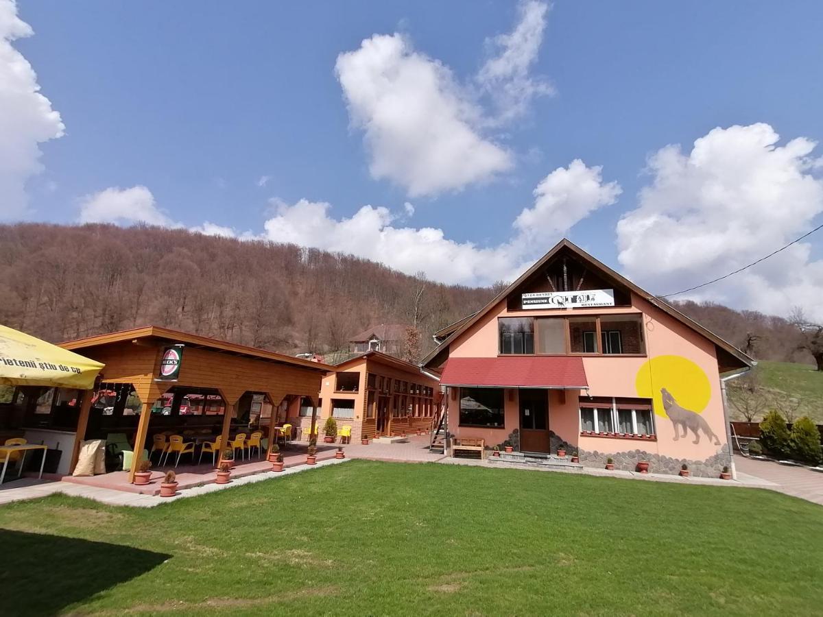 Pensiunea Colt Alb Băile Homorod Exteriér fotografie