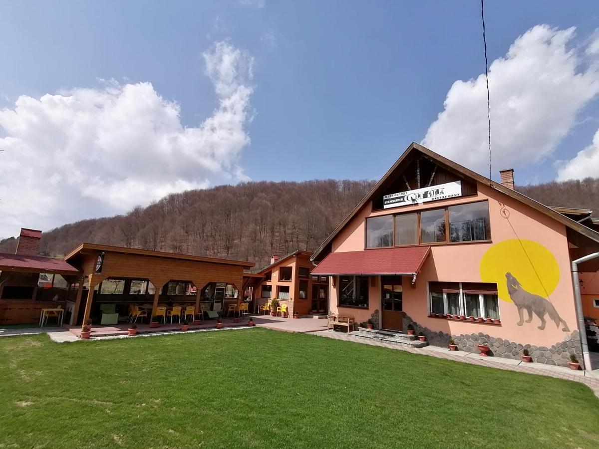 Pensiunea Colt Alb Băile Homorod Exteriér fotografie