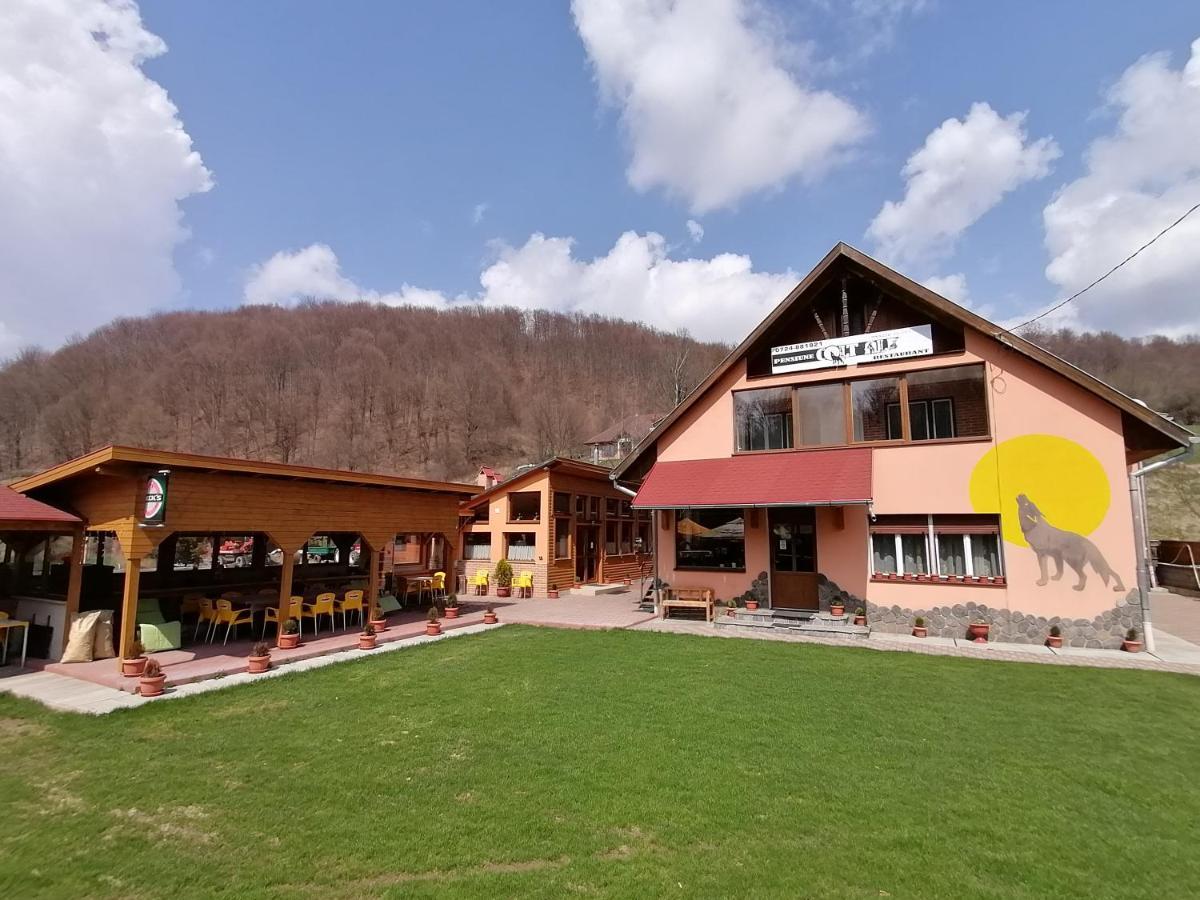 Pensiunea Colt Alb Băile Homorod Exteriér fotografie